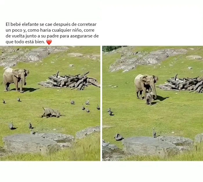  Es solo un niño