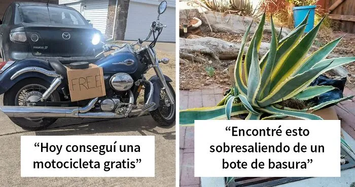 30 Afortunados "hallazgos en la acera" que encontró la gente