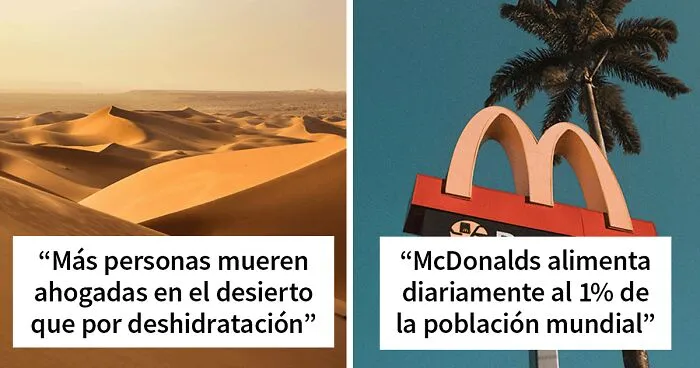 "¿Qué dato verdadero conoces que parezca falso?": 30 personas responden
