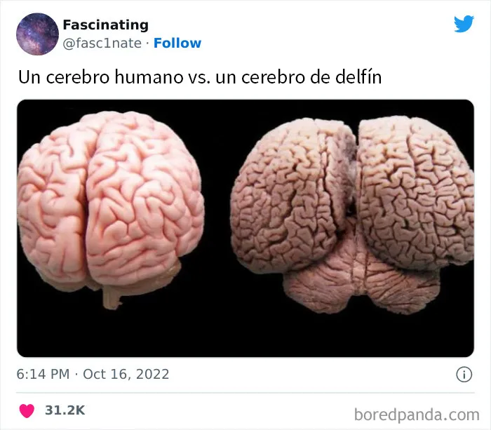 20 Datos tan fascinantes como sorprendentes sobre el mundo que nos rodea