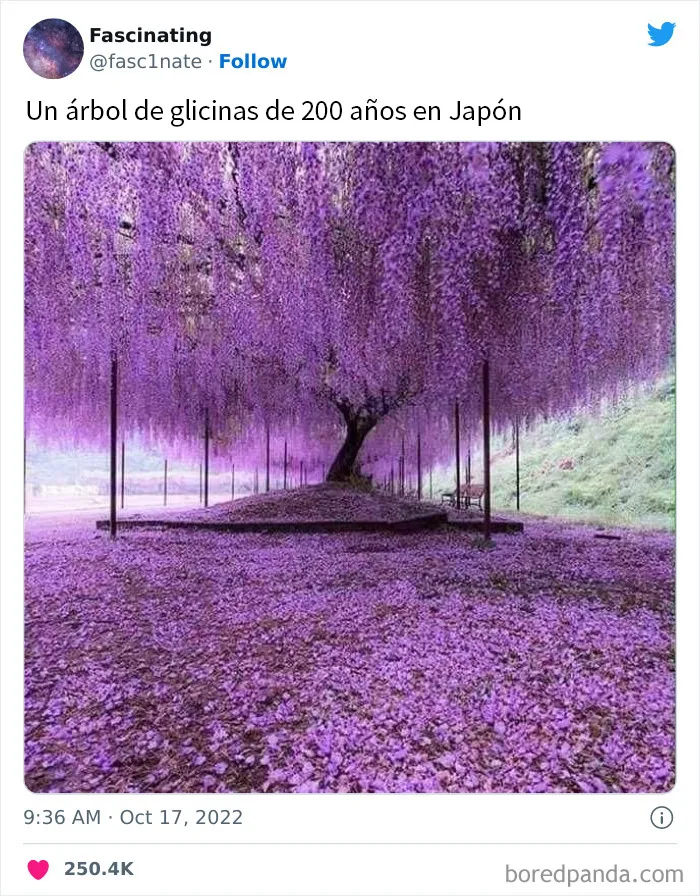 20 Datos tan fascinantes como sorprendentes sobre el mundo que nos rodea