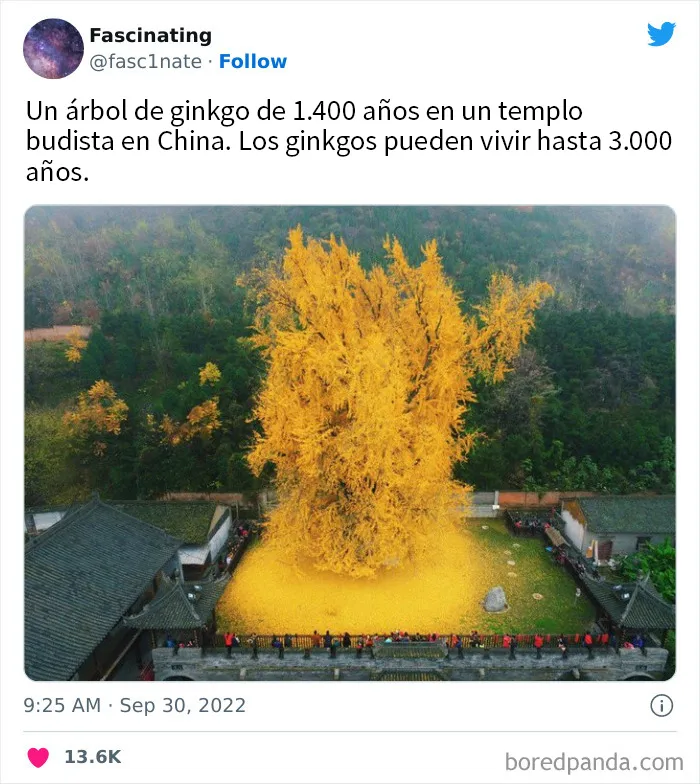 20 Datos tan fascinantes como sorprendentes sobre el mundo que nos rodea