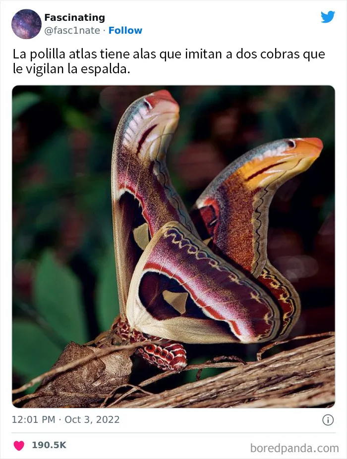 20 Datos tan fascinantes como sorprendentes sobre el mundo que nos rodea