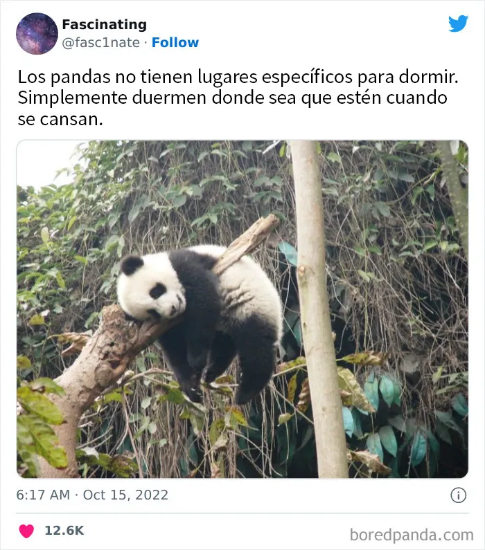 20 Datos tan fascinantes como sorprendentes sobre el mundo que nos rodea