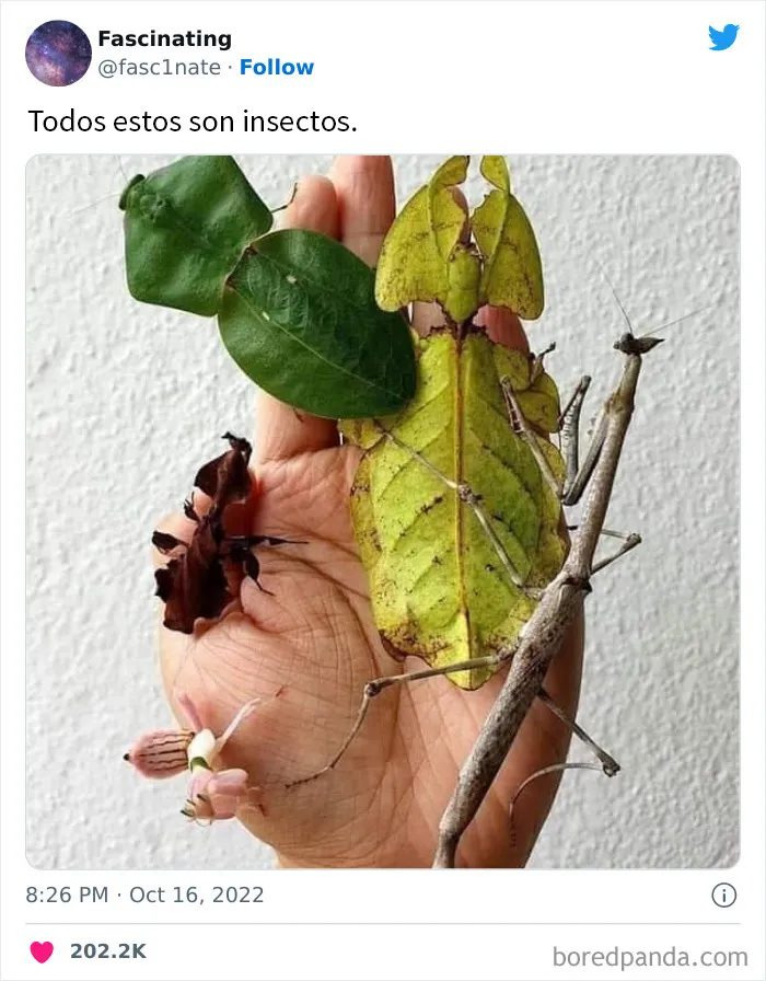 20 Datos tan fascinantes como sorprendentes sobre el mundo que nos rodea
