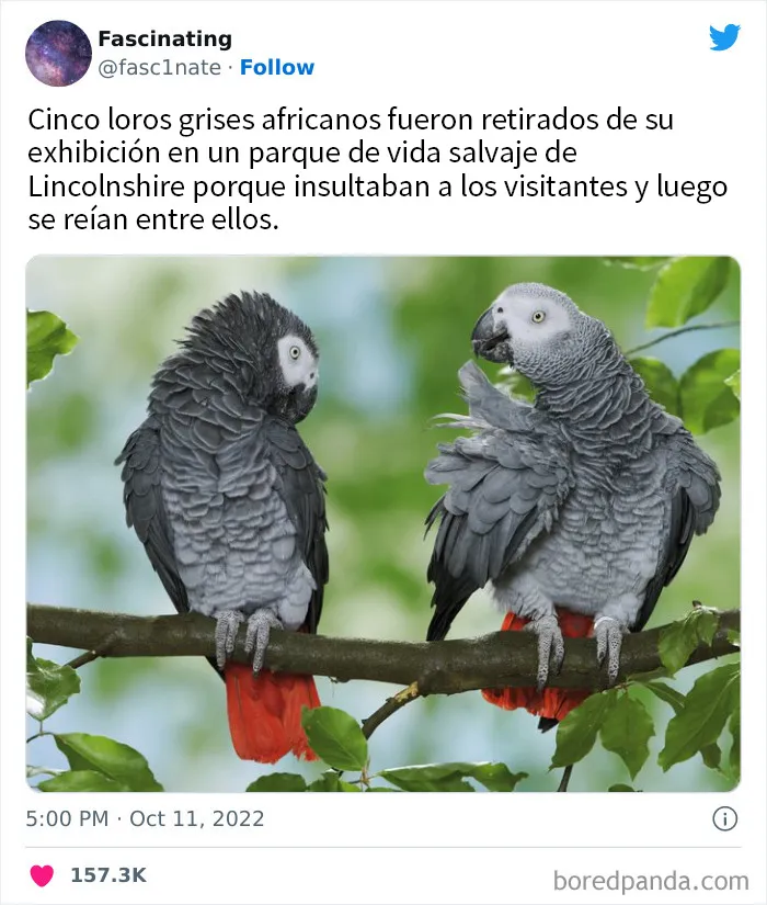 20 Datos tan fascinantes como sorprendentes sobre el mundo que nos rodea