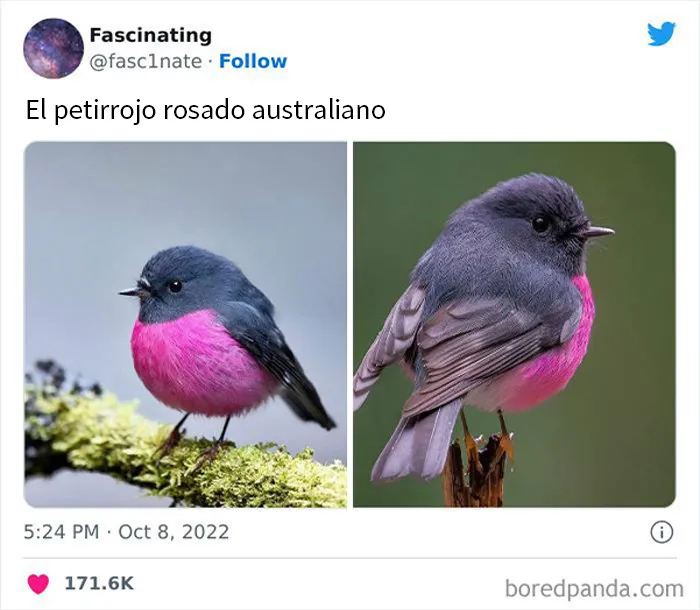 20 Datos tan fascinantes como sorprendentes sobre el mundo que nos rodea