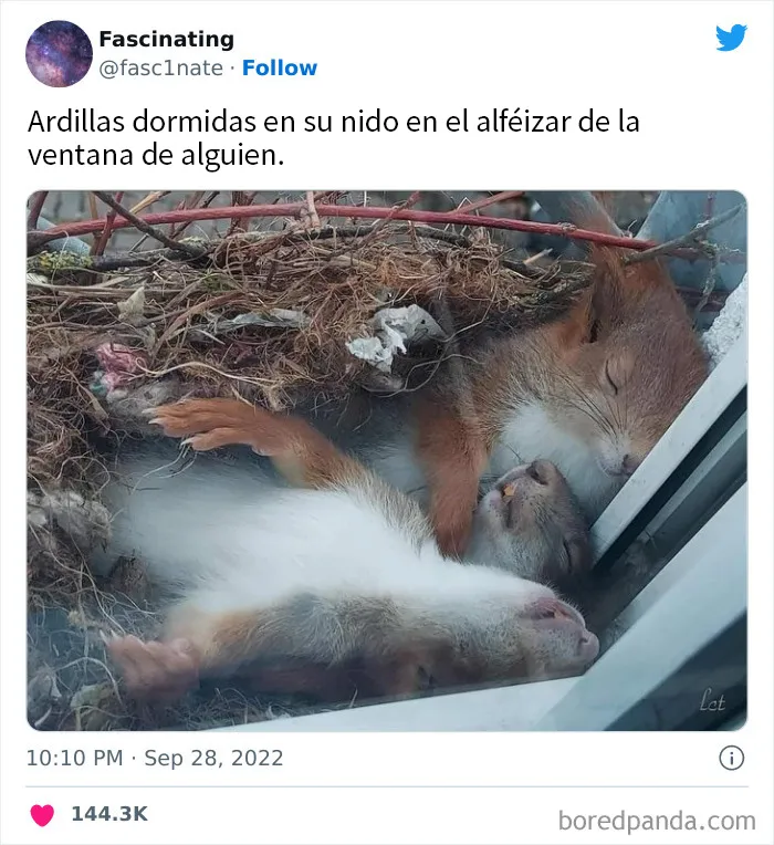 20 Datos tan fascinantes como sorprendentes sobre el mundo que nos rodea