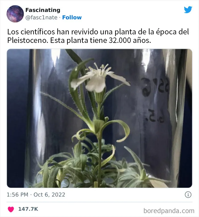 20 Datos tan fascinantes como sorprendentes sobre el mundo que nos rodea