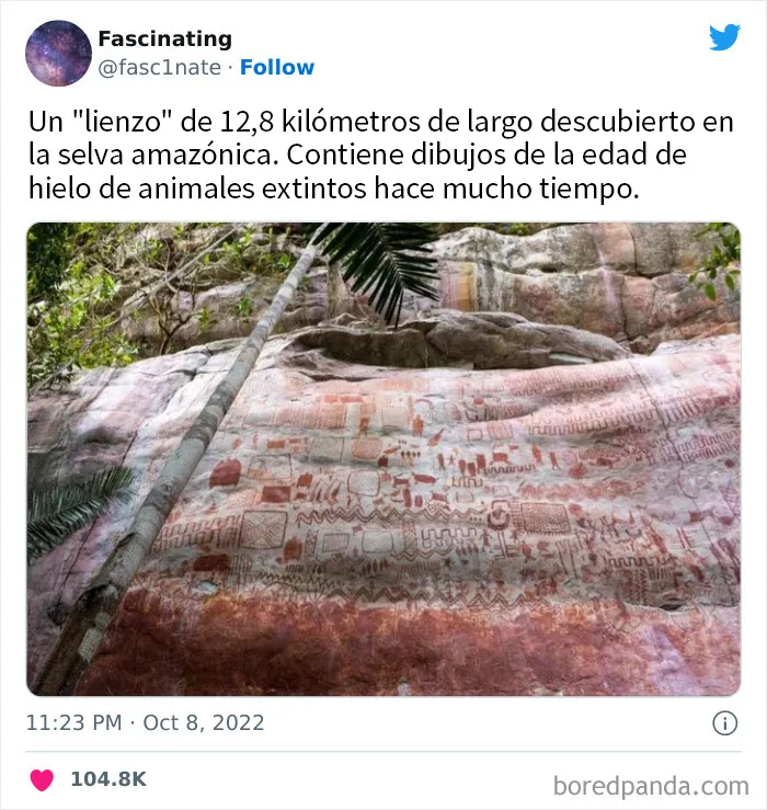 20 Datos tan fascinantes como sorprendentes sobre el mundo que nos rodea