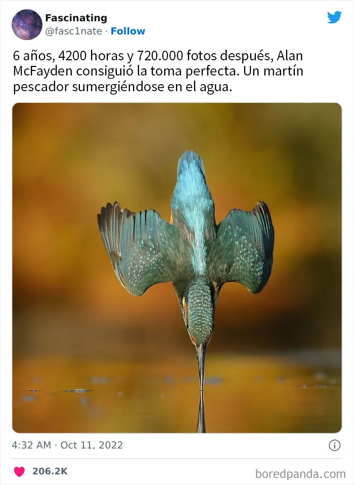 20 Datos tan fascinantes como sorprendentes sobre el mundo que nos rodea