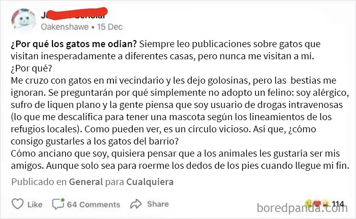 ¿Por qué los gatos me odian?