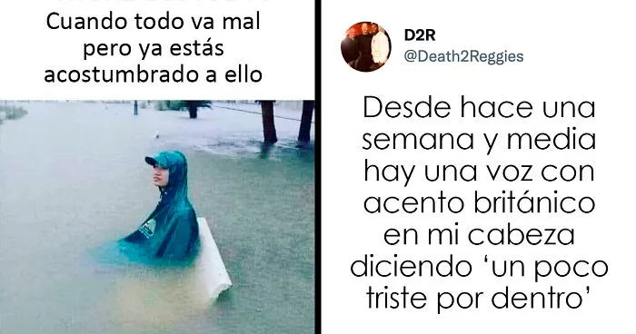 20 Memes que probablemente deberían ser discutidos con un terapeuta