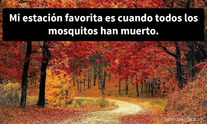 25 Memes sobre la vida en Canadá que resumen perfectamente cómo es el país