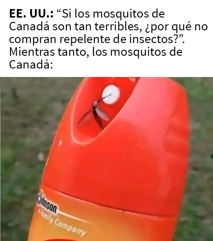 25 Memes sobre la vida en Canadá que resumen perfectamente cómo es el país
