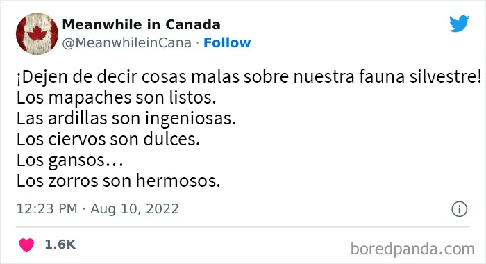 25 Memes sobre la vida en Canadá que resumen perfectamente cómo es el país