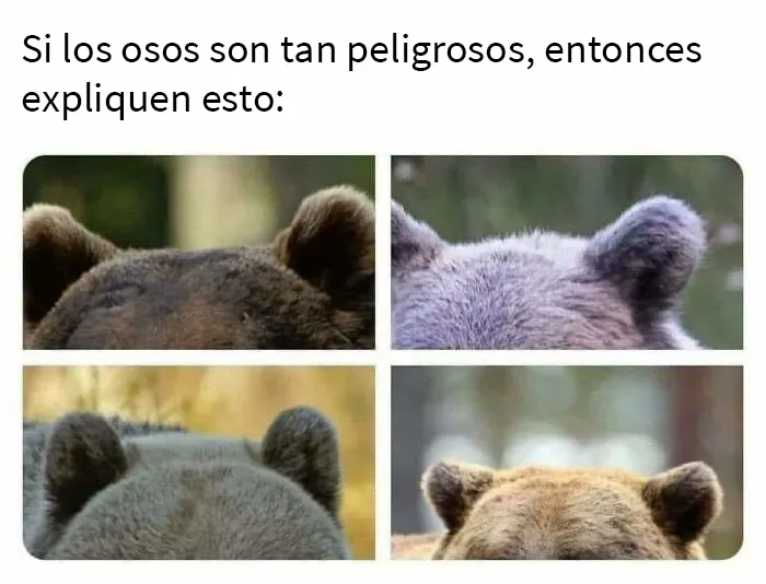 25 Memes sobre la vida en Canadá que resumen perfectamente cómo es el país