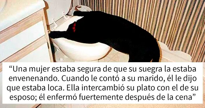 “¿Cuáles son las señales de alarma relacionadas con la cocina que pueden aparecer en una relación?” (20 respuestas)