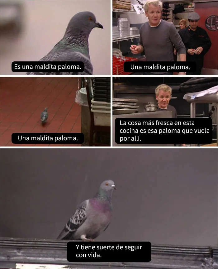 Los mejores 20 insultos del chef Gordon Ramsay que han hecho reír a la gente