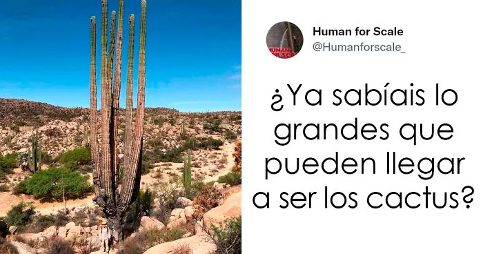 No sabes lo enormes que son algunas cosas hasta que se comparan con el tamaño humano: 20 fotos