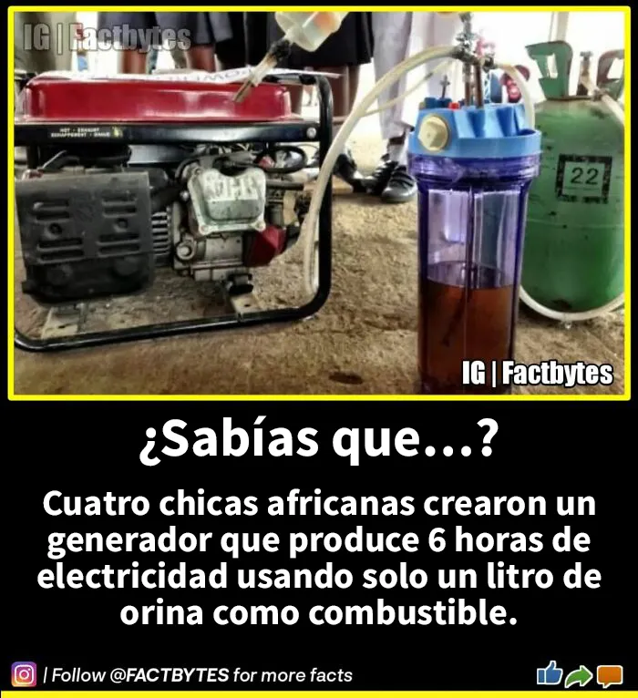 “¿Sabías que…?”: Esta popular cuenta de Instagram comparte datos muy interesantes sobre el mundo