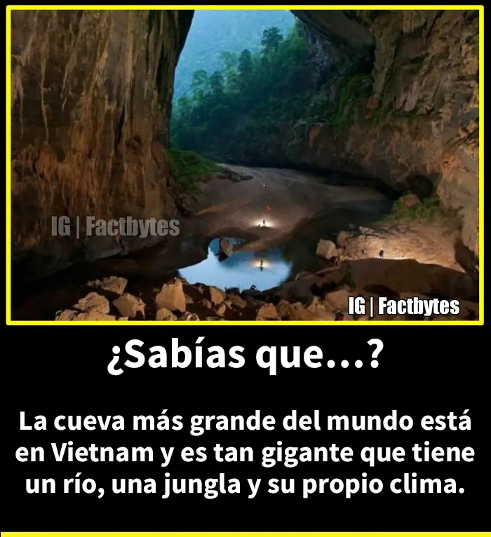 “¿Sabías que…?”: Esta popular cuenta de Instagram comparte datos muy interesantes sobre el mundo