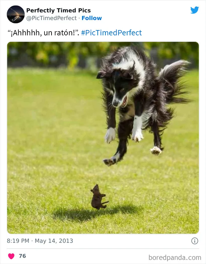 30 Fotos tomadas "en el momento justo” que hay que mirar 2 veces