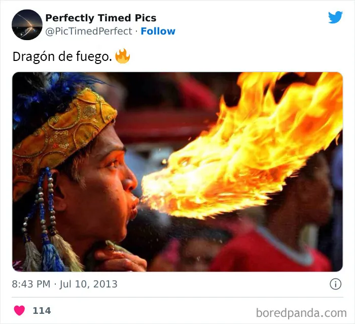 30 Fotos tomadas "en el momento justo” que hay que mirar 2 veces
