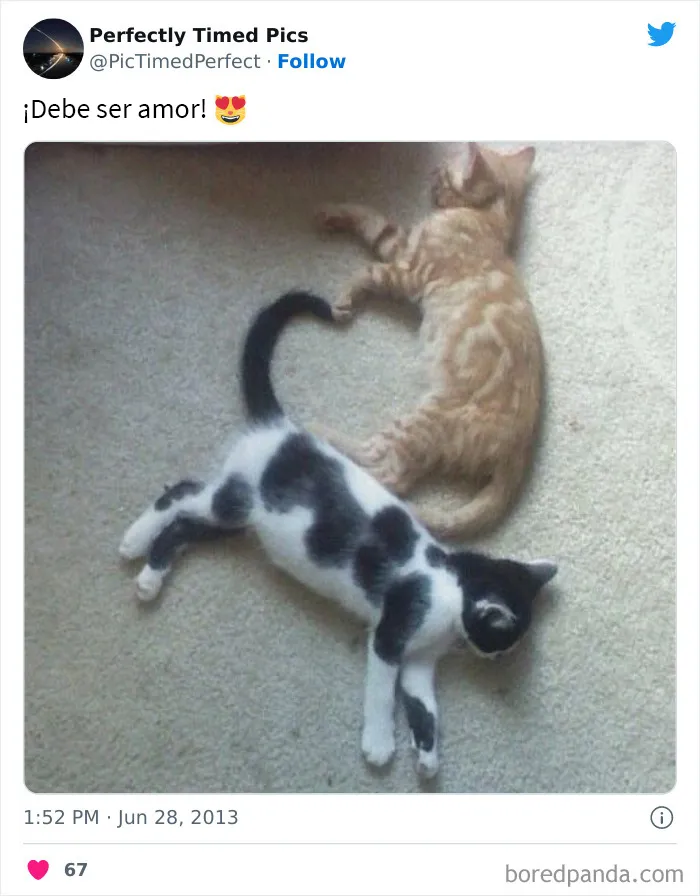 30 Fotos tomadas "en el momento justo” que hay que mirar 2 veces