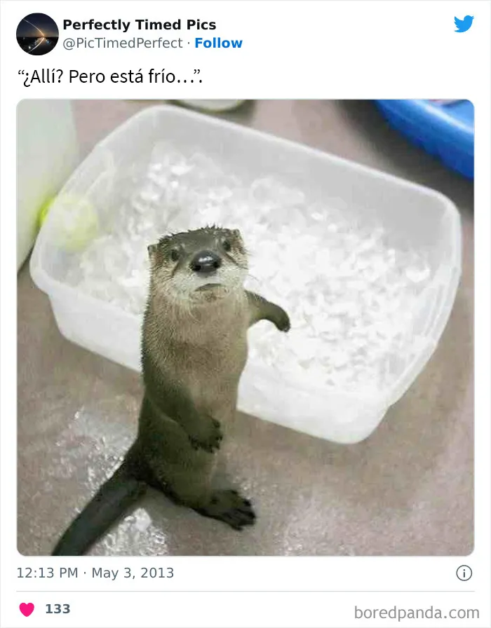 30 Fotos tomadas "en el momento justo” que hay que mirar 2 veces