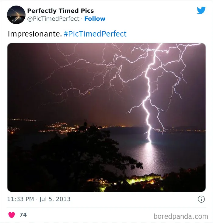 30 Fotos tomadas "en el momento justo” que hay que mirar 2 veces