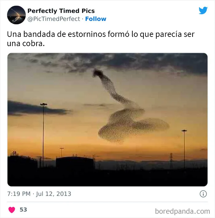 30 Fotos tomadas "en el momento justo” que hay que mirar 2 veces