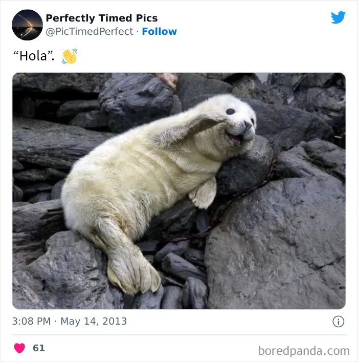 30 Fotos tomadas "en el momento justo” que hay que mirar 2 veces