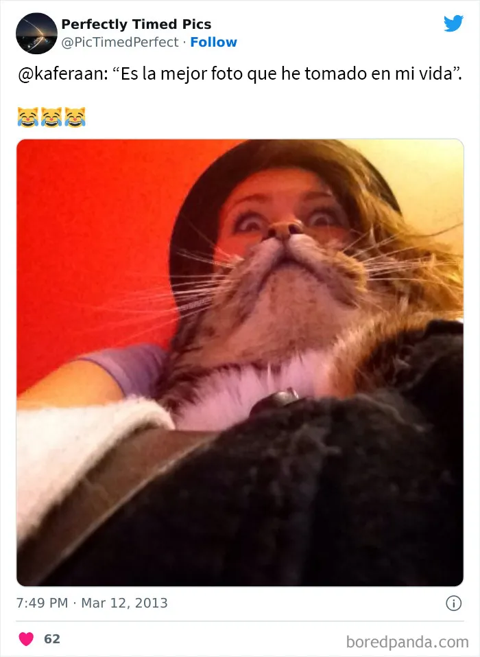 30 Fotos tomadas "en el momento justo” que hay que mirar 2 veces