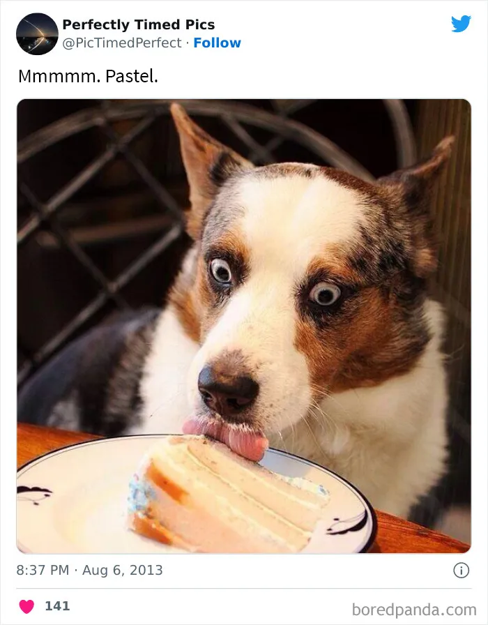 30 Fotos tomadas "en el momento justo” que hay que mirar 2 veces