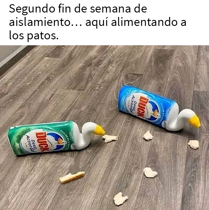 20 Memes británicos que te harán partirte de risa