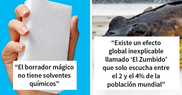 "Hoy aprendí": 35 nuevos datos curiosos que tú también puedes aprender hoy
