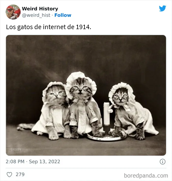 “Weird History” es una cuenta que comparte cosas interesantes, extrañas y divertidas que ocurrieron a lo largo de la historia (20 nuevas imágenes)