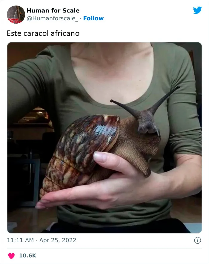No sabes lo enormes que son algunas cosas hasta que se comparan con el tamaño humano: 20 fotos