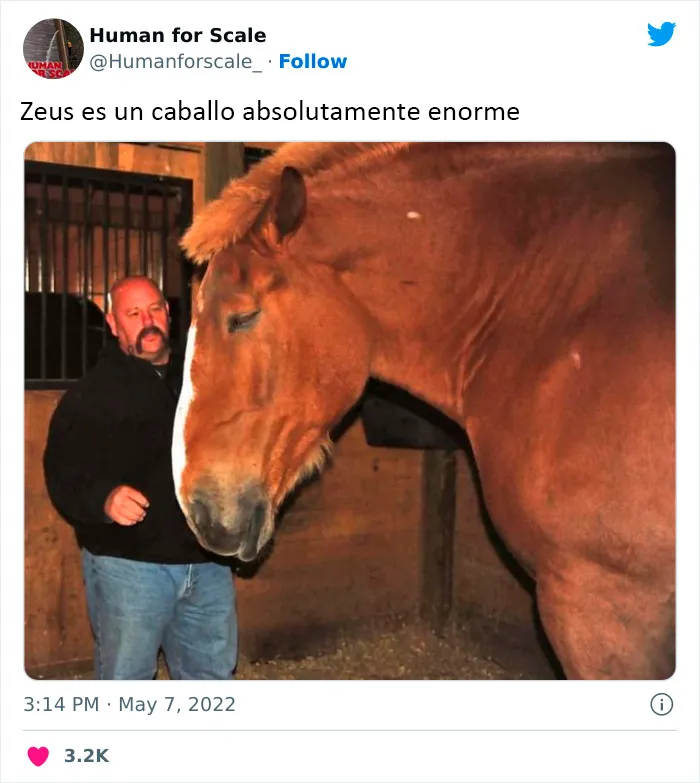 No sabes lo enormes que son algunas cosas hasta que se comparan con el tamaño humano: 20 fotos