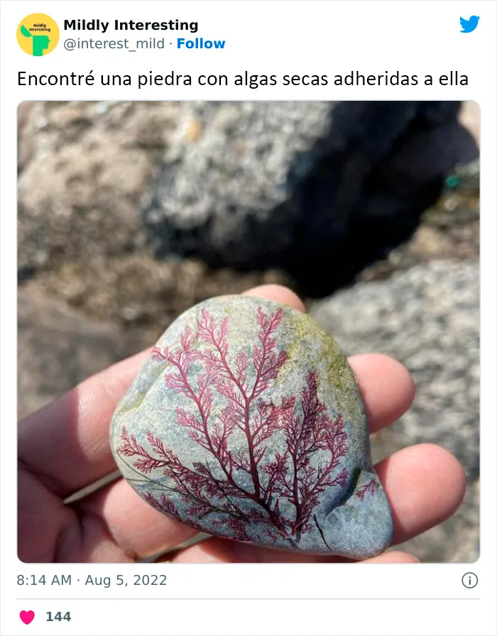 20 Nuevas imágenes bastante interesantes de esta cuenta de Twitter