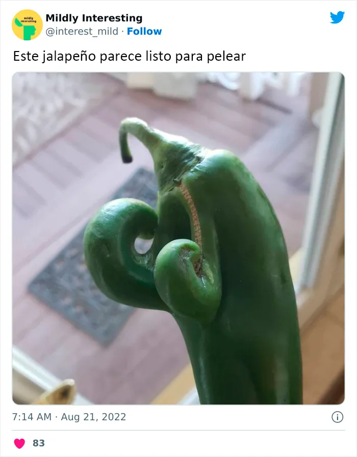 20 Nuevas imágenes bastante interesantes de esta cuenta de Twitter