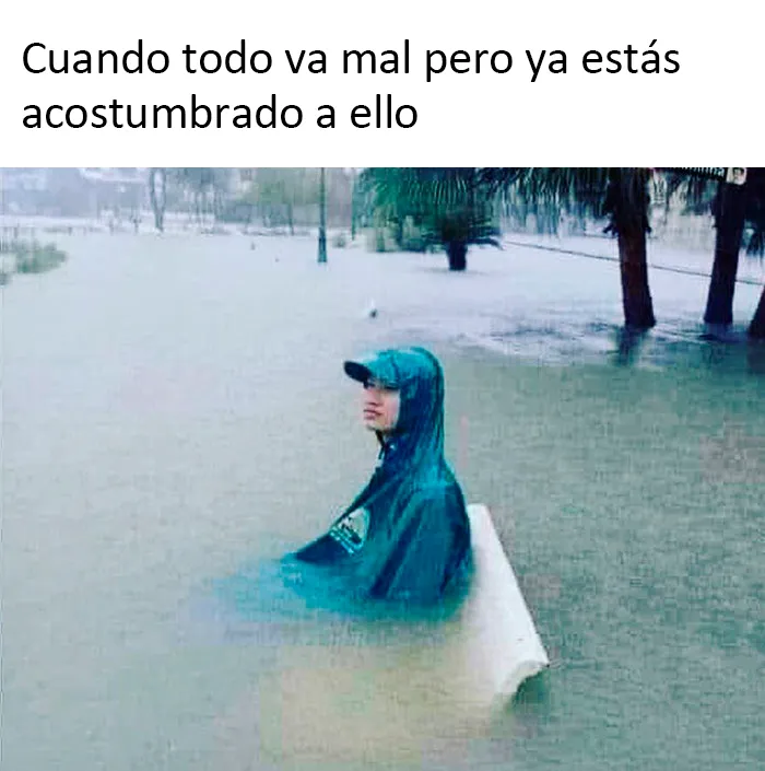20 Memes que probablemente deberían ser discutidos con un terapeuta