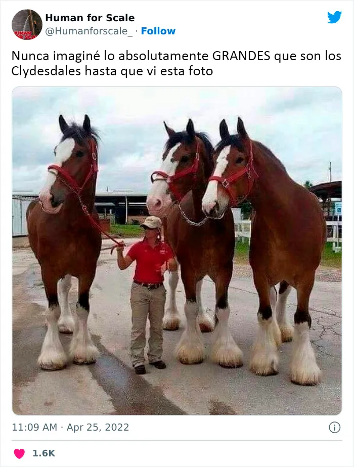 No sabes lo enormes que son algunas cosas hasta que se comparan con el tamaño humano: 20 fotos
