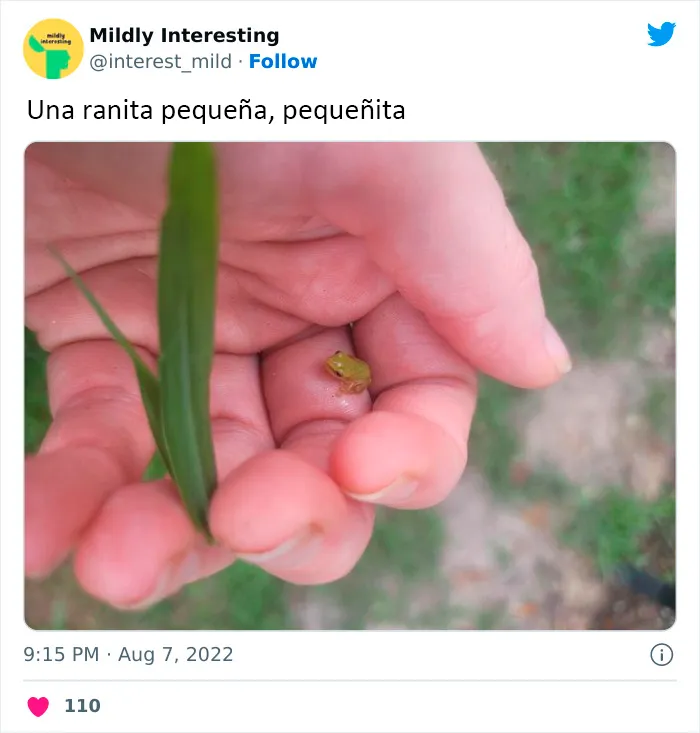 20 Nuevas imágenes bastante interesantes de esta cuenta de Twitter