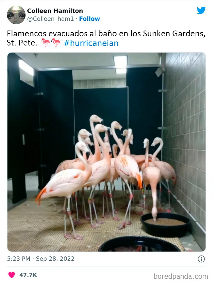 20 Fotos muy surreales de la catástrofe tras el huracán Ian