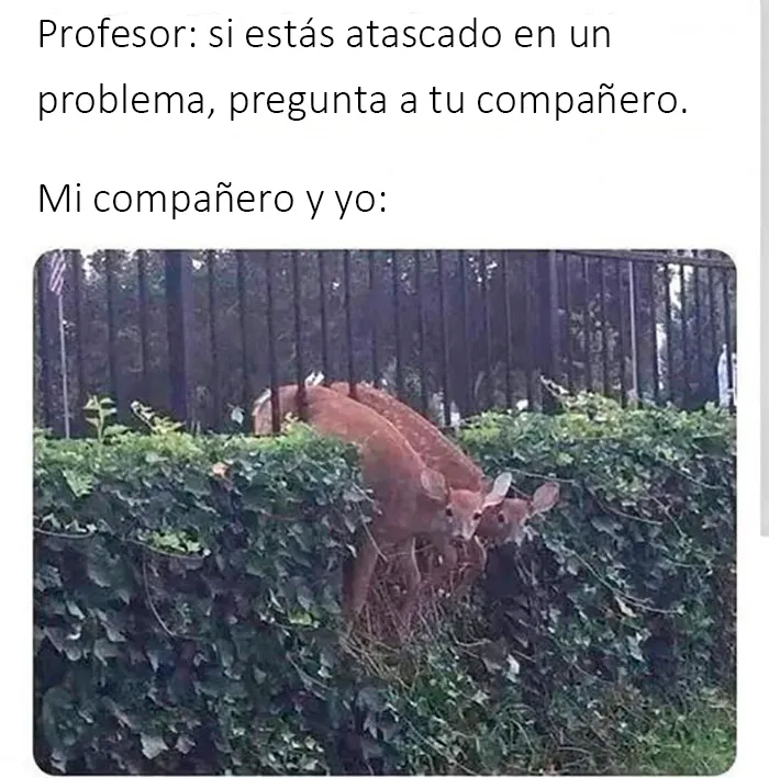 20 Divertidos memes de esta página de Facebook dedicada al frikismo
