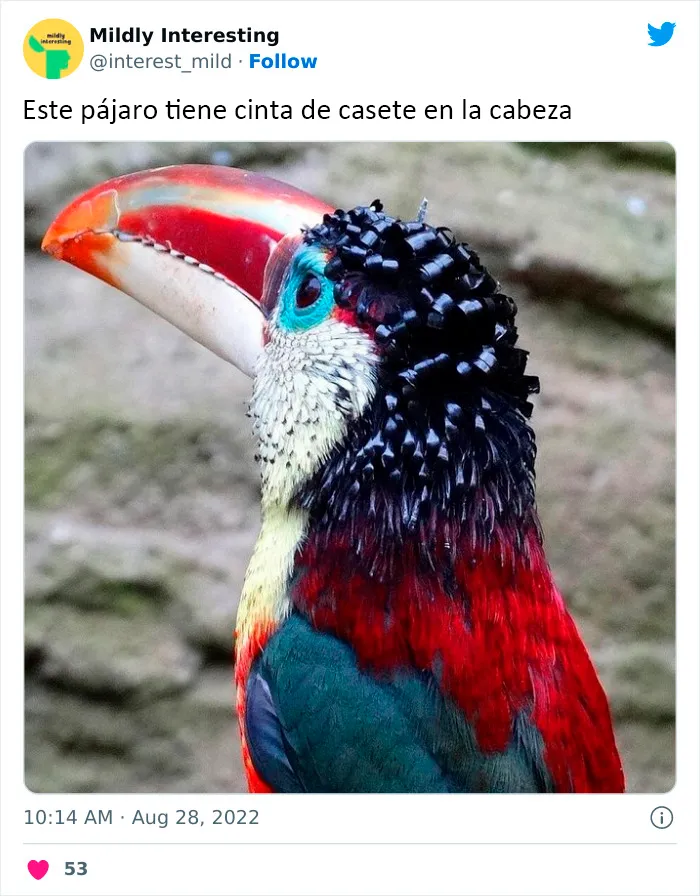 20 Nuevas imágenes bastante interesantes de esta cuenta de Twitter