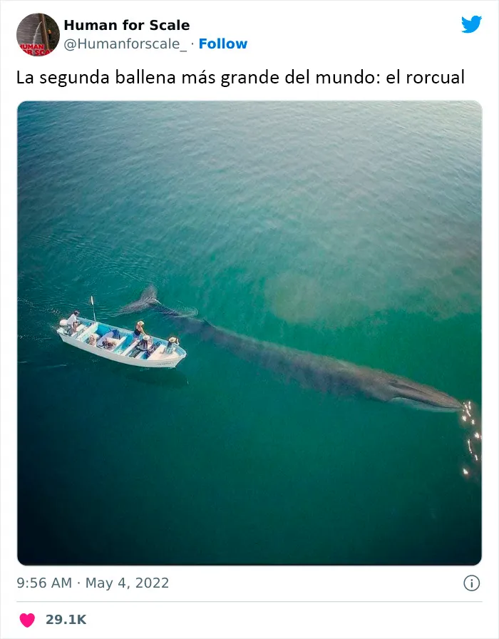 No sabes lo enormes que son algunas cosas hasta que se comparan con el tamaño humano: 20 fotos