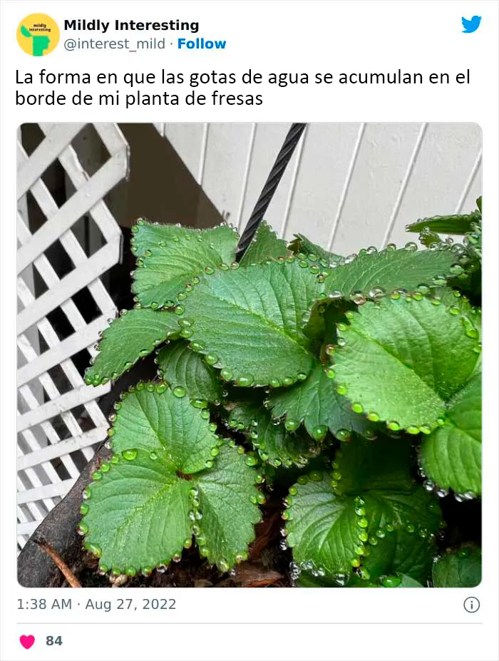 20 Nuevas imágenes bastante interesantes de esta cuenta de Twitter